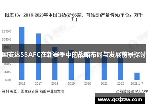 国安达SSAFC在新赛季中的战略布局与发展前景探讨